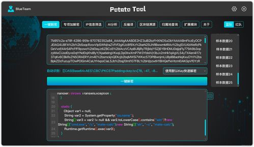 一键解密 网络安全神器问世，重塑数字防护新纪元